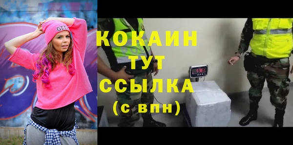 шишки Лабытнанги
