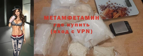 шишки Лабытнанги