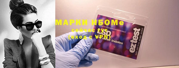 шишки Лабытнанги