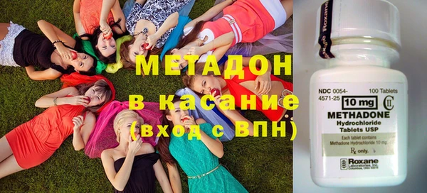 шишки Лабытнанги