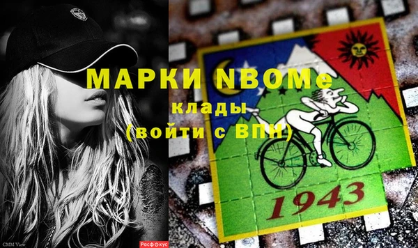 шишки Лабытнанги