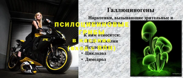 шишки Лабытнанги