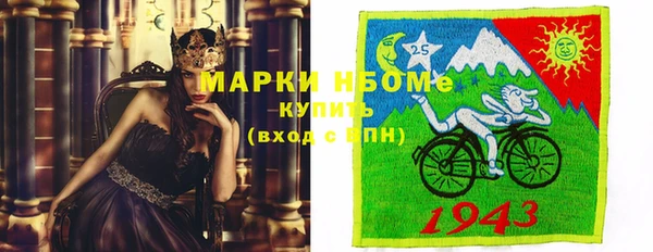 шишки Лабытнанги