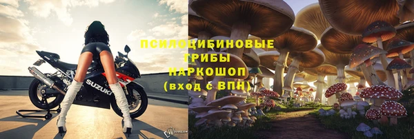 шишки Лабытнанги
