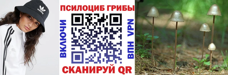 Галлюциногенные грибы MAGIC MUSHROOMS  Юрюзань 